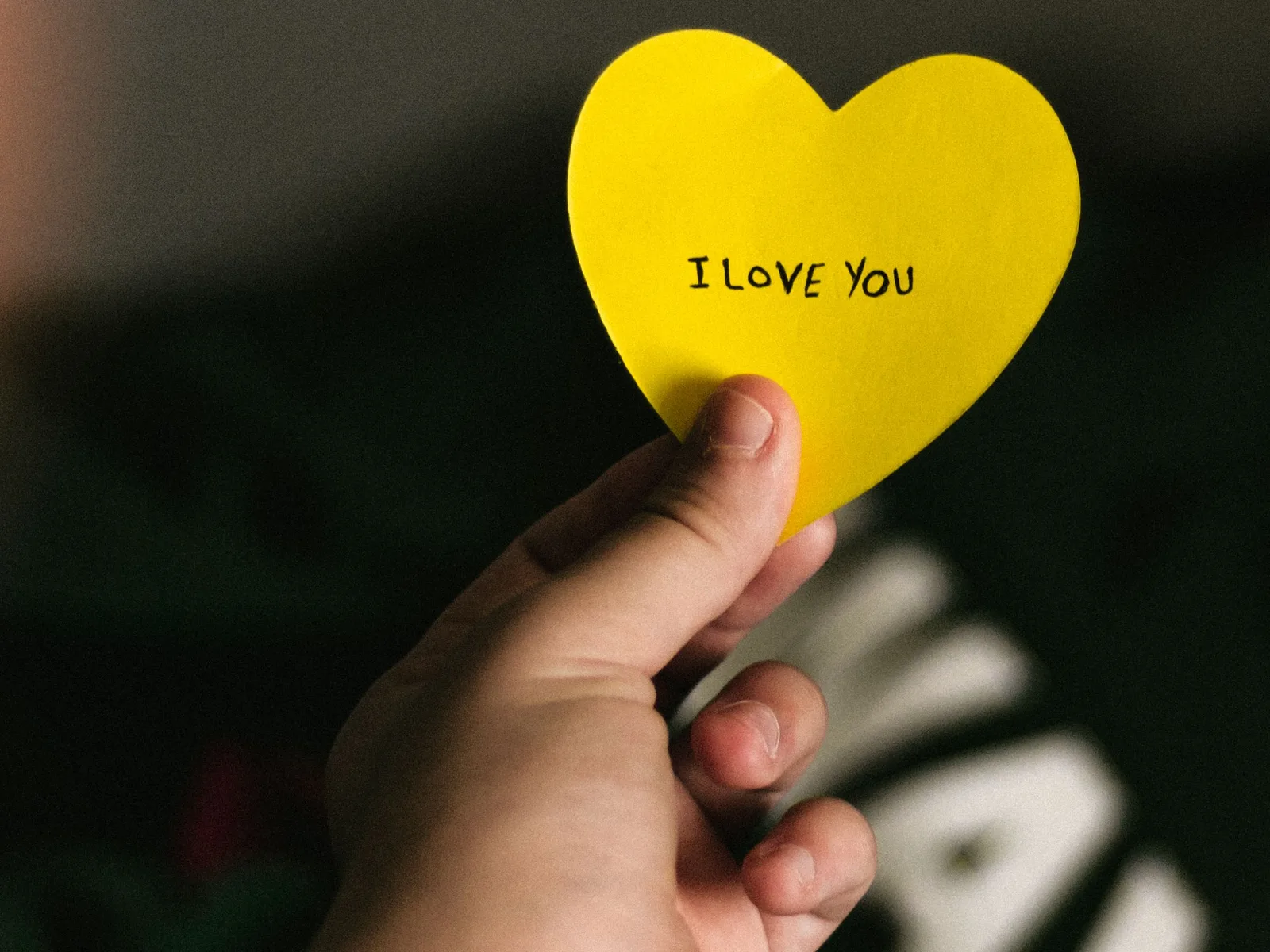 Just Because Love Song song gift